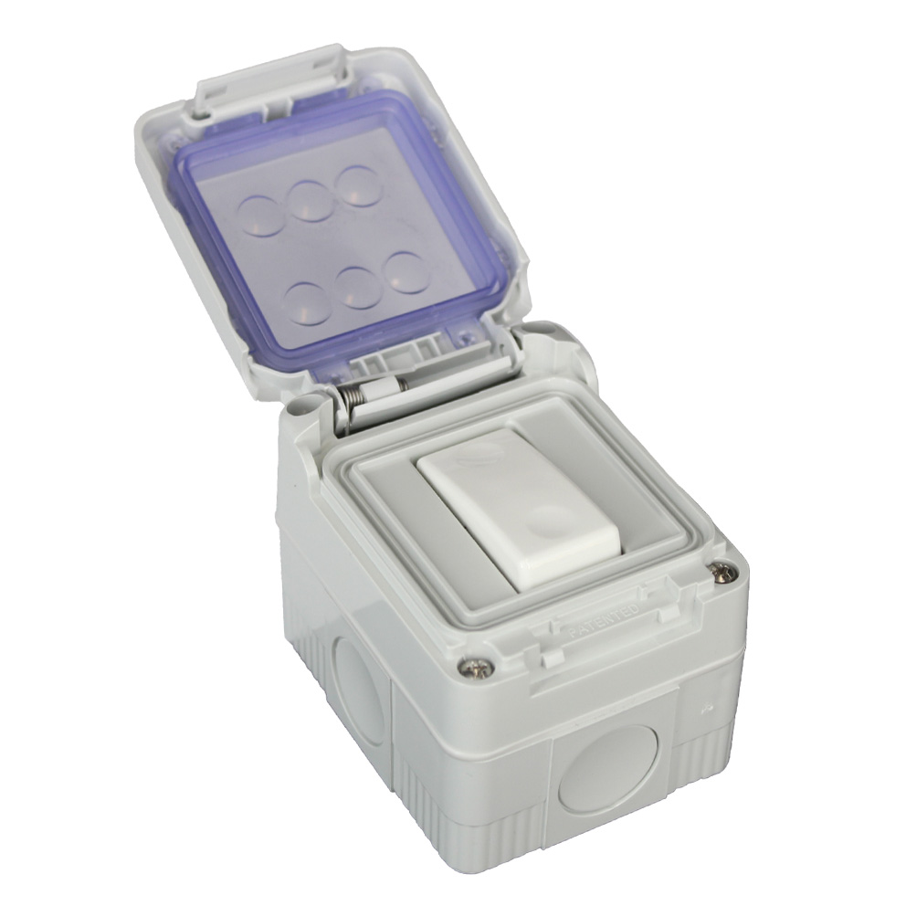 1G 2W Switch
