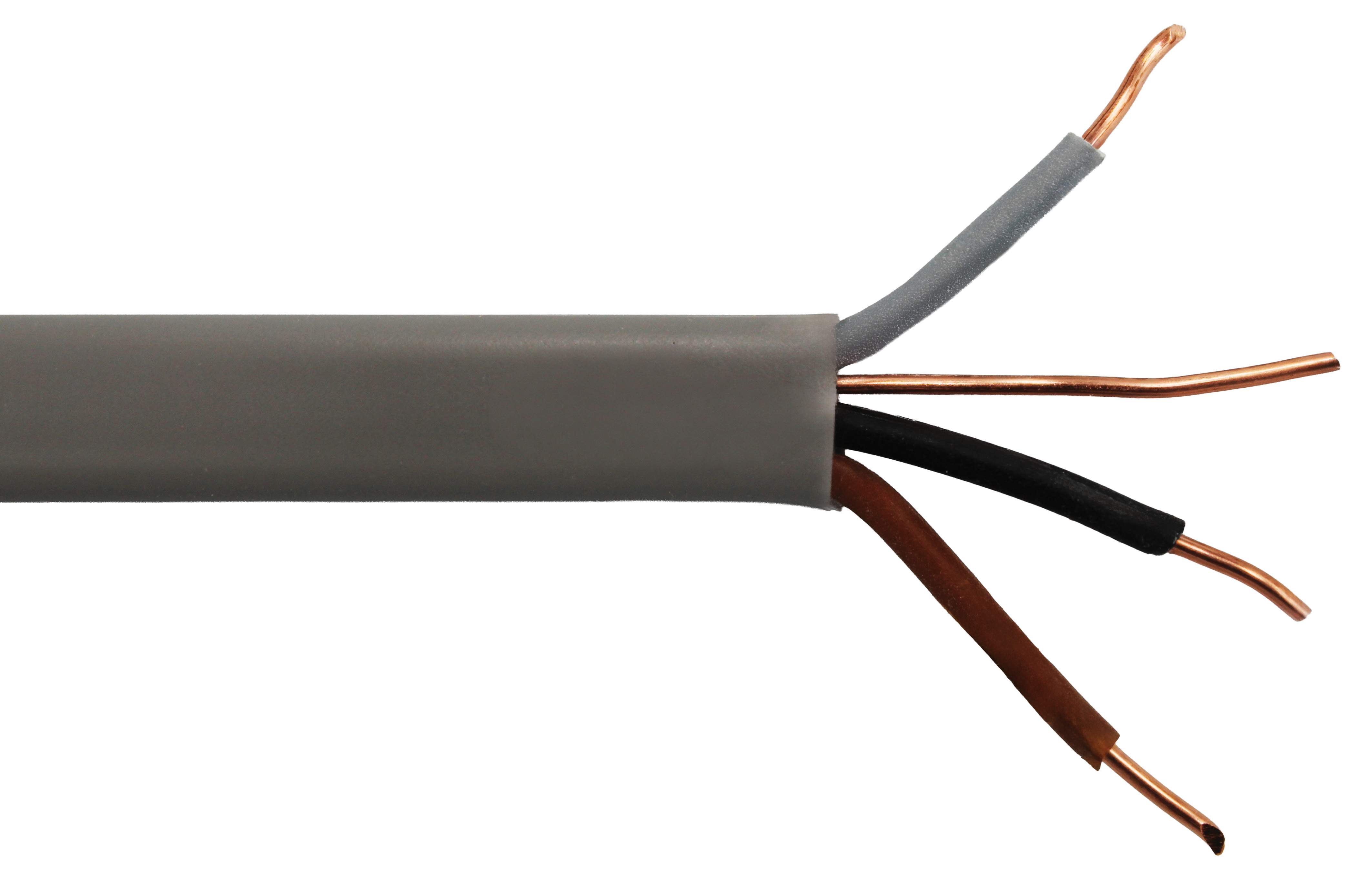 100m x 1mm