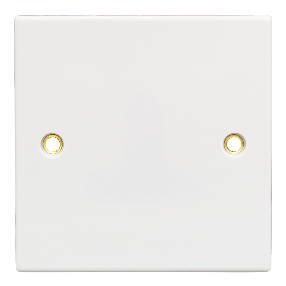 1G Blank Plate