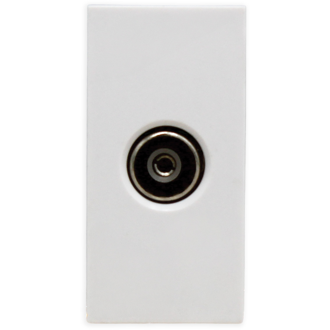 1G TV Outlet Module